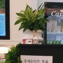 비스트로케이 이미지