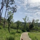 퍼피빌리티 이미지