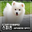 도그마루(왕십리점) 이미지