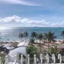 썬펠리스 이미지