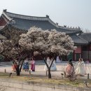 고궁 - 연천군 | 고궁