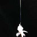 신진도pc 이미지