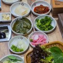 노형바다장어