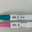 함춘약국 | [임신기록] 꽤 힘들었던 임신초기 일상🍓/ 입덧과 소양증 / 양수검사 / 압구정함춘산부인과