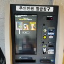 푸른숲팡팡