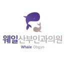 웨일산부인과의원 네이버블로그