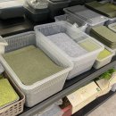 대구곤충마트 이미지