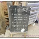 경기 고양시 일산 대화동 참다랑어 막주는집 &#34; 참 치 푸 줏 간 &#34;