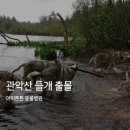 아이튼튼 동물병원 이미지