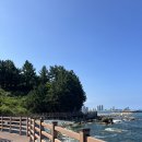 롯데리조트 속초 이미지