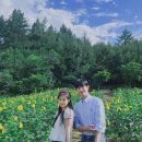 정소민 카카오 검색결과