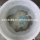 유성크리닝 이미지