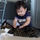 구구사
