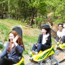 Enjoy 코리아헤럴드