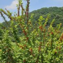 늘보마을 이미지