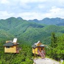 향로산자연휴양림 티스토리