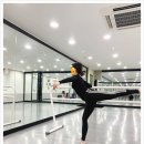 아르떼발레학원 이미지