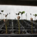 아라농장 이미지