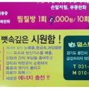 힐스템 주열테라피 이미지