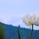 연화랑 이미지