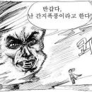 달보드레헤어