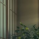 양평한의원 이미지