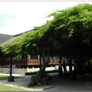 종로-종로-종로-종-254 이미지