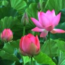 진리와바다 이미지