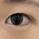 관교동 | 눈 시림 없이 속눈썹펌 성공한 날💫 인천 관교동 후기