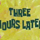 종로애견미용 이미지