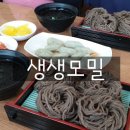 생생모밀 이미지