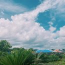 하도조아 이미지