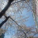 용인감량장역 미용실 카이정헤어 용인강남대점 내추럴 레이어드 라인 후기