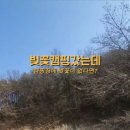 캠핑주막&pub 네이버블로그