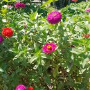 “나만의 인생길 만들기” 이미지