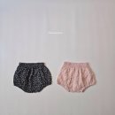슈크림 이미지