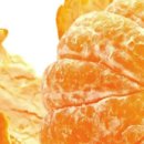 이주농장 이미지