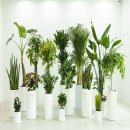 영전농장 이미지