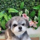 그루밍140 이미지