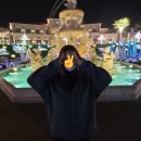 퍼스트푸릇 이미지