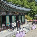 심원사 웹이코노미
