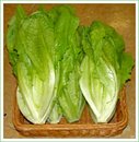 로메인 - 구리시 동구릉로53번길 4 | 로메인