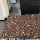 덕수농장 이미지