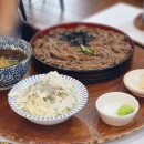 백소정 세종점