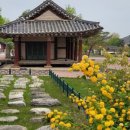 임천 가림수 이미지