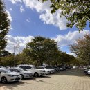 하단동1209 이미지