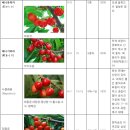 일본종정리 - 방옥 시즈카고젠 준호하트 산형홍왕 찾다가 지쳐서 여기에 정리해둠 이미지