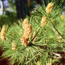 봄비어린이공원 이미지