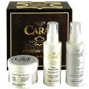 스폰지캐럿 이미지