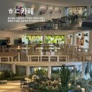 홍대스테이지(ㅎㄷSTAGE) | [서울대형카페] ㅎㄷ카페 - 서울에서 가장 큰 8층 규모 홍대 상수 합정 디저트 카페